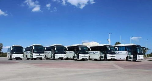 突尼斯市街上行驶的中国产金龙客车,超赞