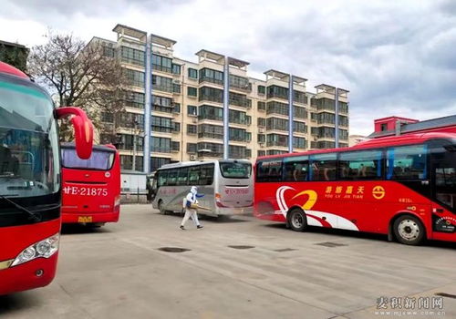 麦积汽车站区内客运路线恢复运营 图