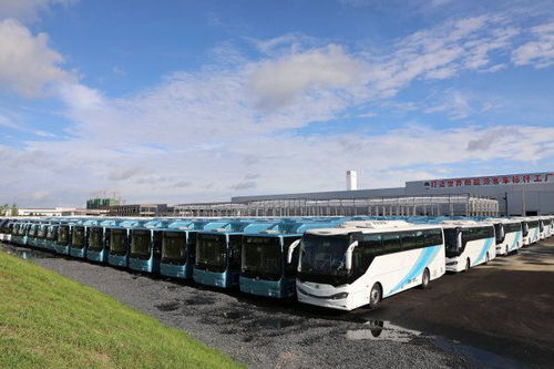 湖南省重点项目巡礼28 常德中车 打造世界新能源客车标杆工厂