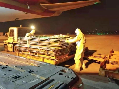 合肥新桥机场重要发布 暂无进口冷链食品运输
